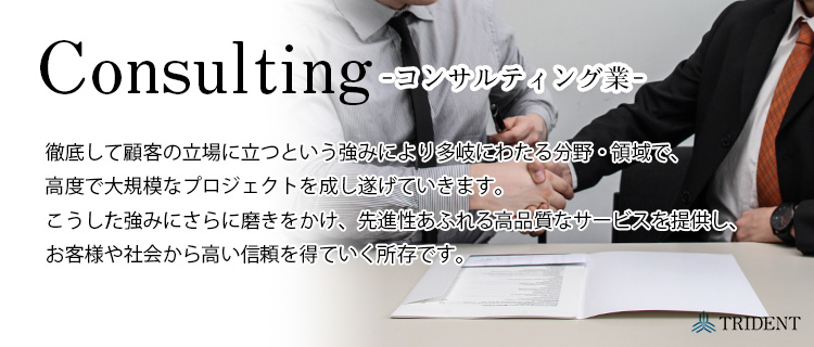 トライデント　コンサルティング業